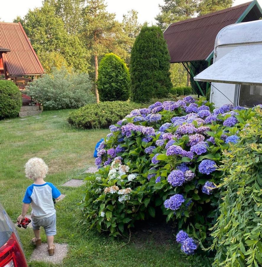 Domek Matylda- Kaszuby Villa Nowe Czaple  Eksteriør billede