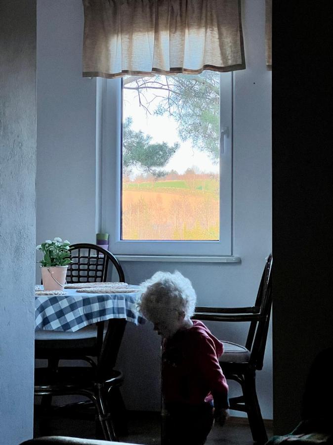 Domek Matylda- Kaszuby Villa Nowe Czaple  Eksteriør billede